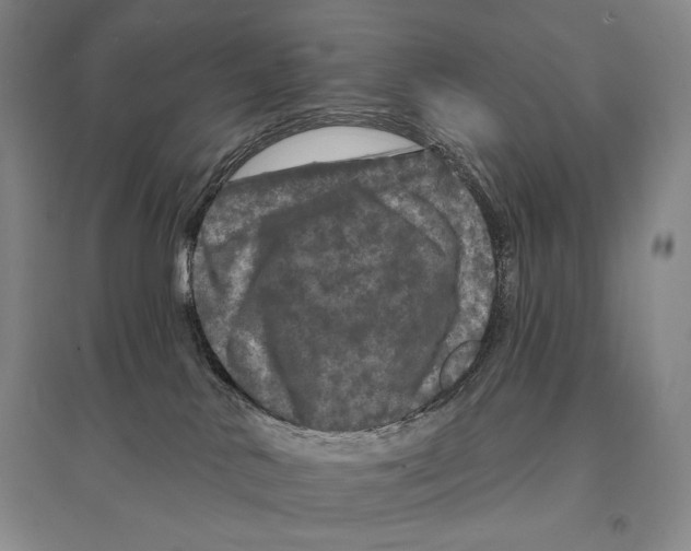X0000095510042200801111423