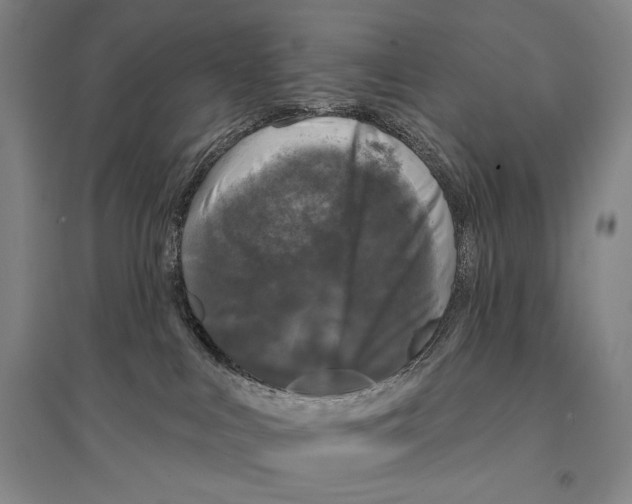 X0000095510043200801111423