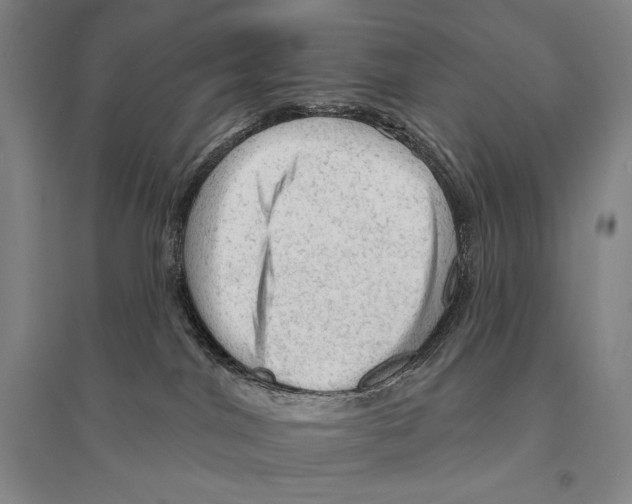 X0000095510044200801111423