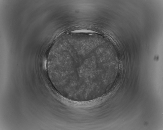 X0000095510046200801111423