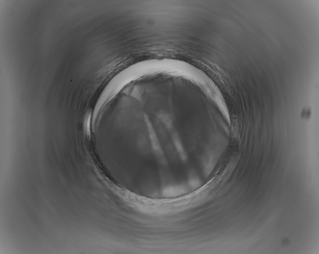 X0000095510047200801111423