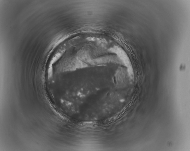 X0000095510050200801111422