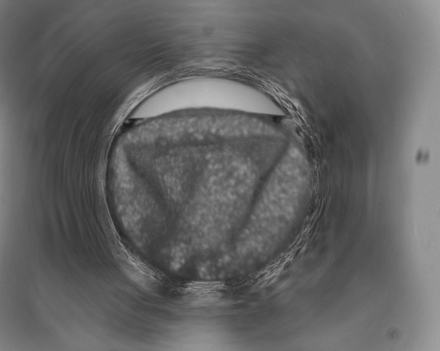 X0000095510051200801111422
