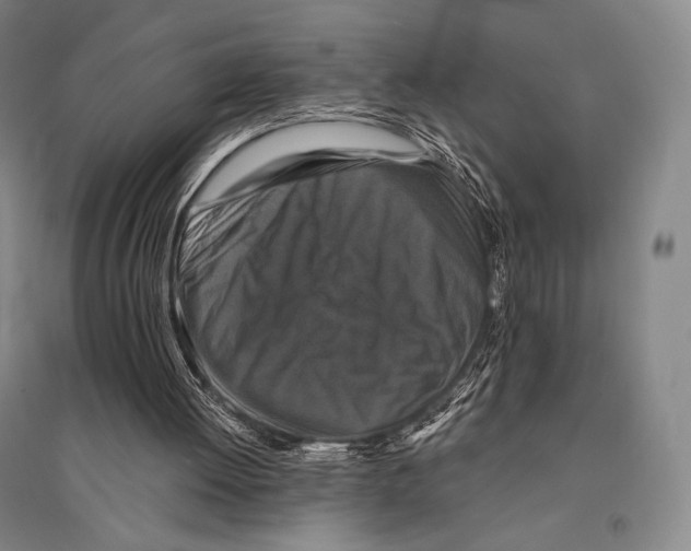 X0000095510052200801111422