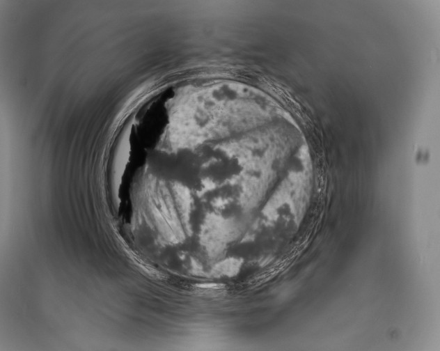 X0000095510053200801111422