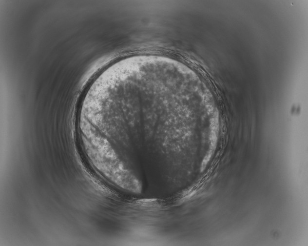 X0000095510054200801111422