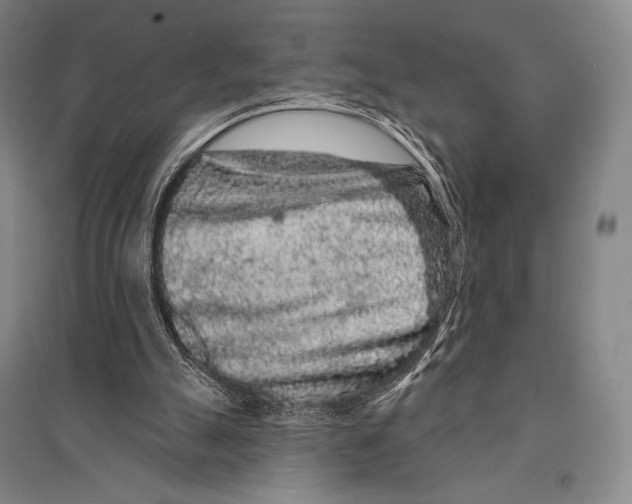 X0000095510055200801111422