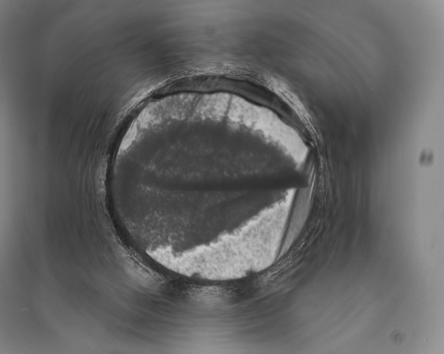 X0000095510058200801111422