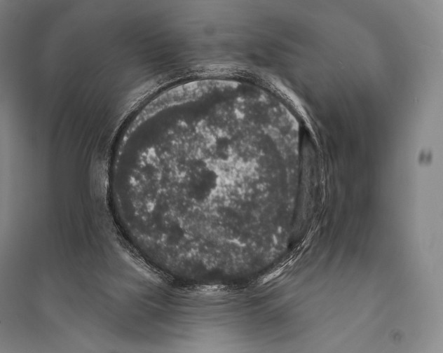 X0000095510059200801111422