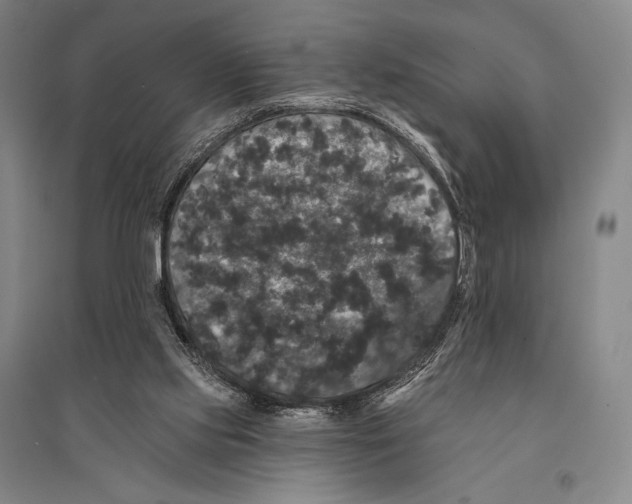 X0000095510061200801111422