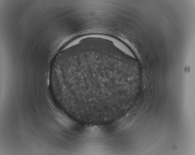 X0000095510062200801111423