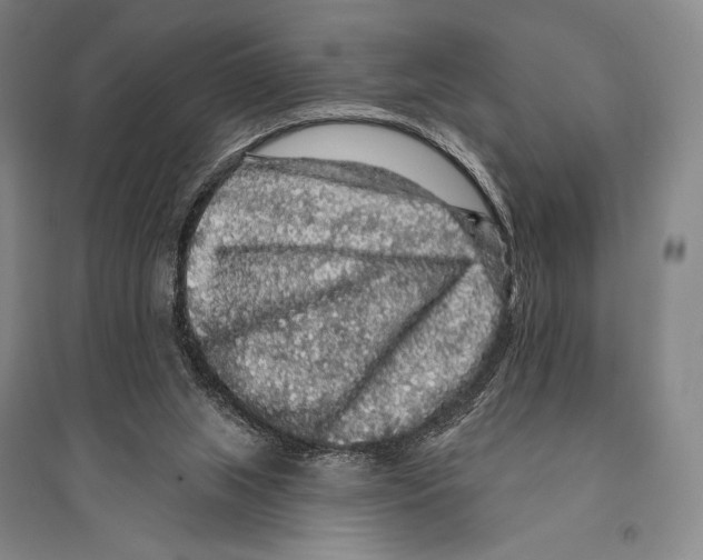 X0000095510063200801111423