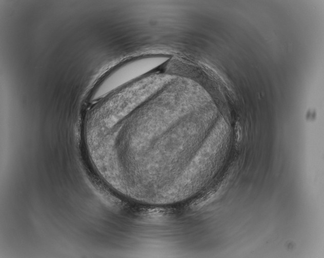 X0000095510064200801111423