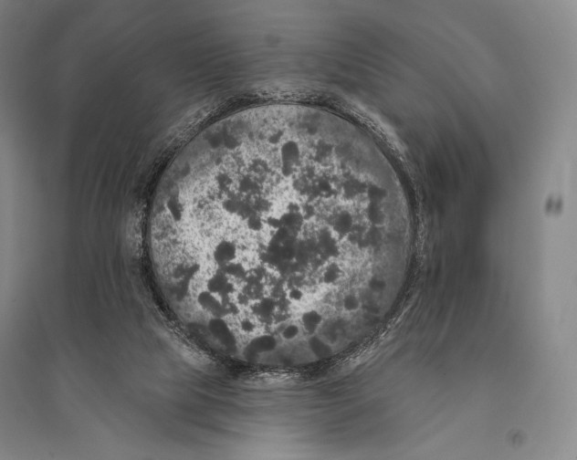 X0000095510065200801111423