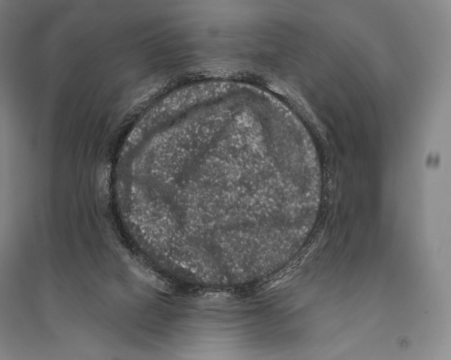 X0000095510066200801111423