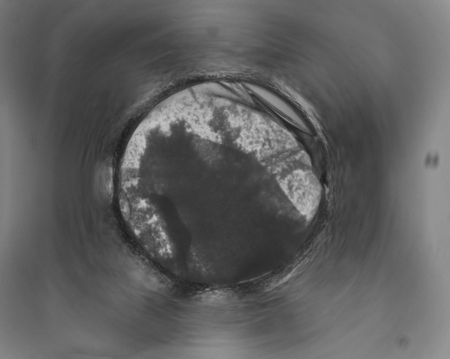 X0000095510067200801111423