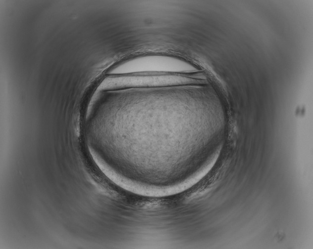 X0000095510068200801111423