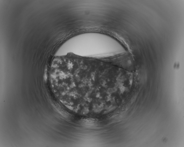 X0000095510069200801111423