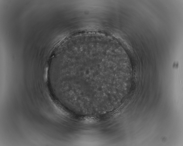 X0000095510070200801111423