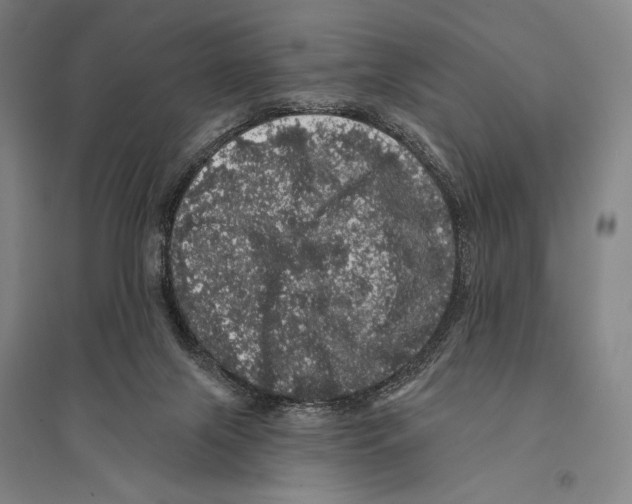 X0000095510071200801111423