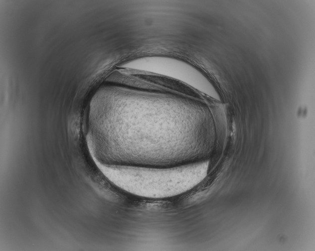 X0000095510072200801111423