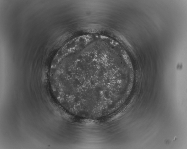 X0000095510073200801111423