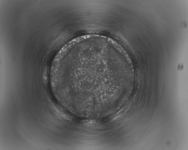 X0000095510074200801111423
