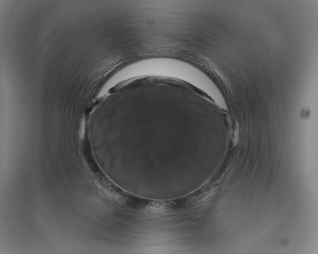 X0000095510076200801111423