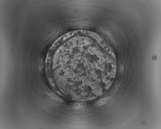 X0000095510077200801111423