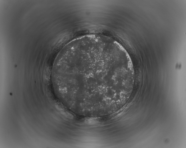 X0000095510078200801111423
