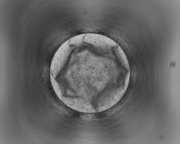 X0000095510079200801111423