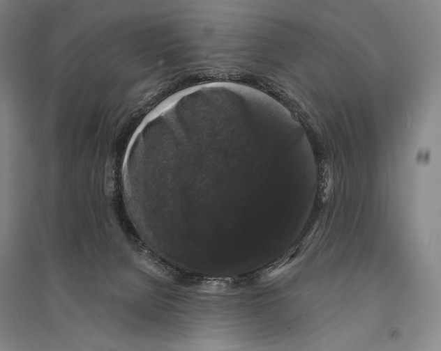 X0000095510080200801111423