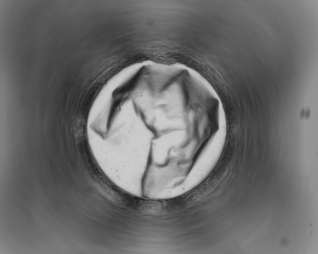 X0000095510081200801111423
