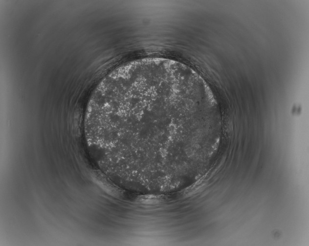 X0000095510082200801111423