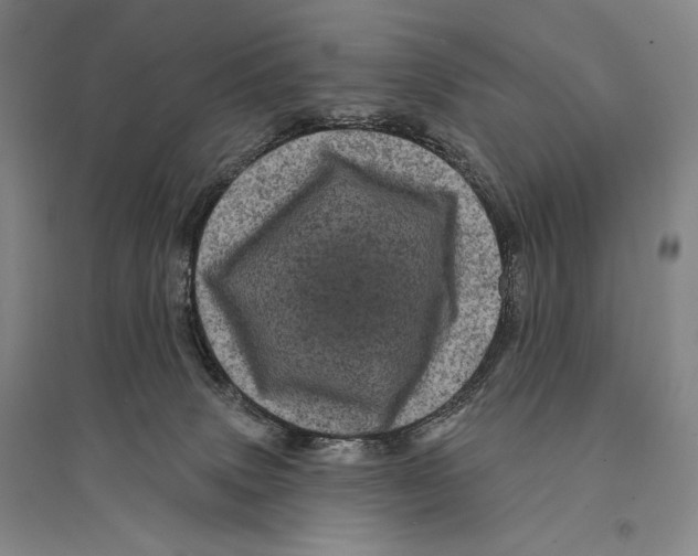 X0000095510083200801111423
