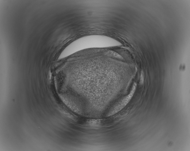 X0000095510084200801111423