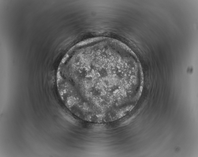 X0000095510085200801111423