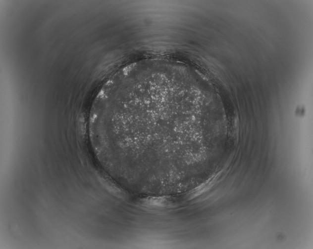 X0000095510086200801111423