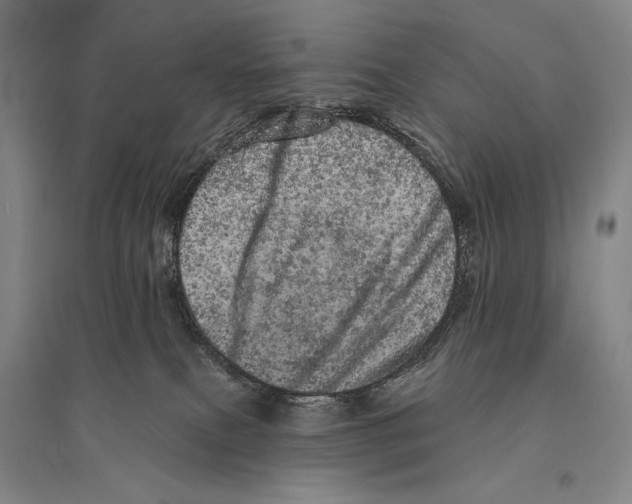X0000095510087200801111423