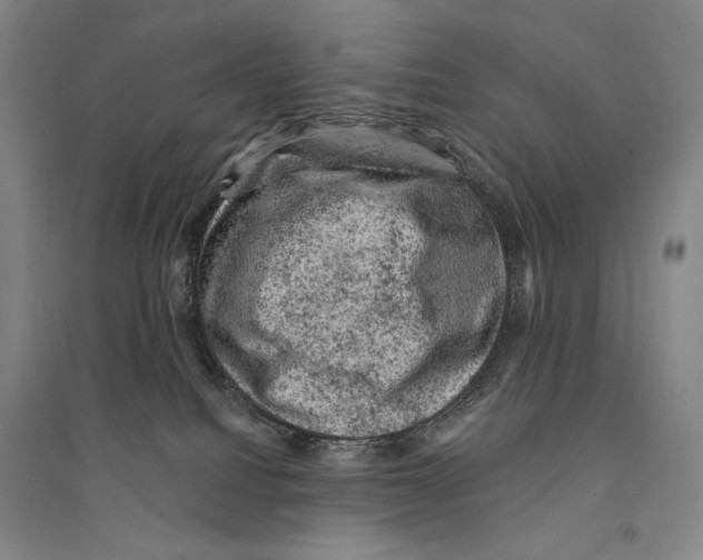 X0000095510088200801111423