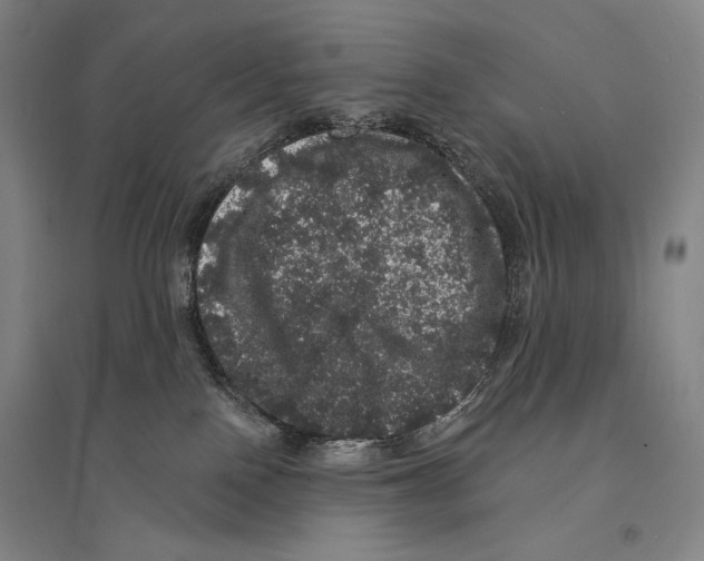 X0000095510090200801111423