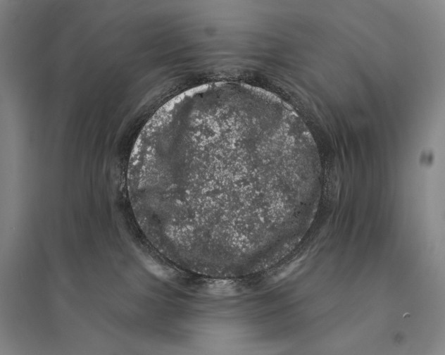 X0000095510091200801111423