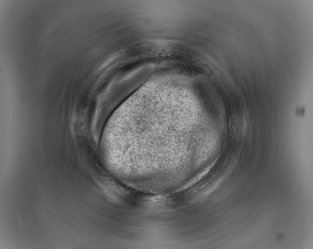 X0000095510092200801111423