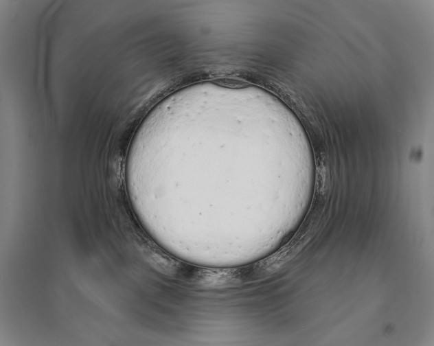 X0000095510093200801111423