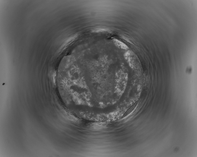 X0000095510094200801111423