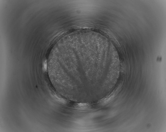 X0000095510095200801111423