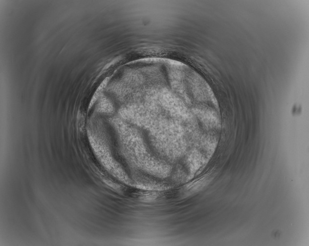 X0000095510096200801111423