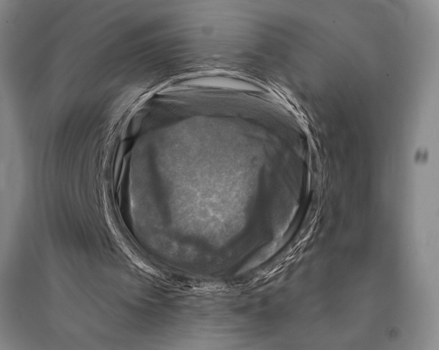 X0000095510097200801111422
