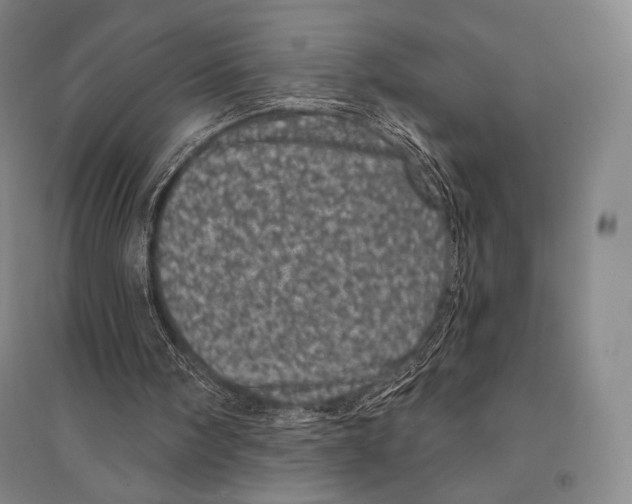 X0000095510098200801111422