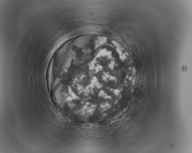 X0000095510099200801111422